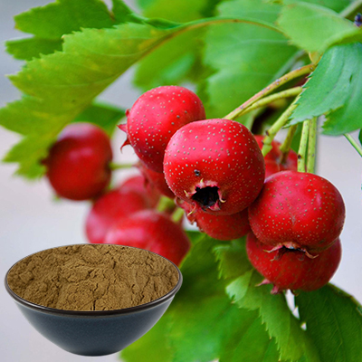 Weißdornbeeren-Extrakt