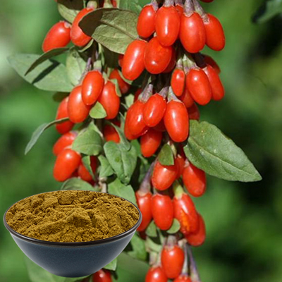 Goji-Beeren-Extrakt