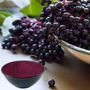 Acai Beeren Pulver