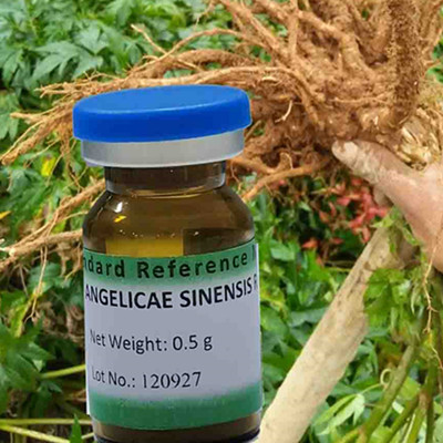 Angelicae Sinensis Radix