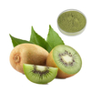 Kiwi -Frucht -Extraktpulver