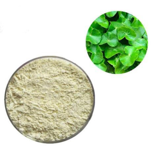 Gotu Kola Extrakt
