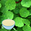 Gotu Kola Extrakt
